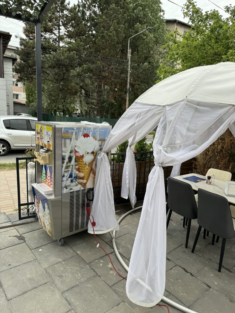 Img 3895